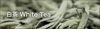 白茶