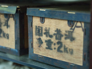 普洱茶 プーアル茶