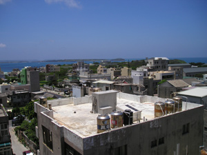 台湾茶