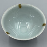 B20250527_10