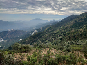 奥の方が凤溪です