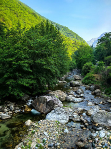 神農架林区老君山