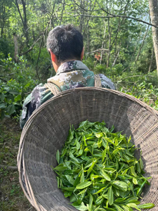 神農架林区老君山